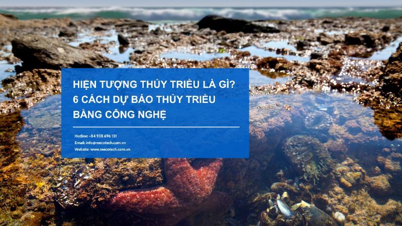 Biểu đồ dự báo độ cao mực nước theo lịch con nước Hòn Dấu giúp dễ dàng theo dõi triều cường triều kiệt