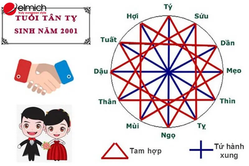 alt: Bảng tóm tắt thông tin về tuổi Tân Tỵ 2001