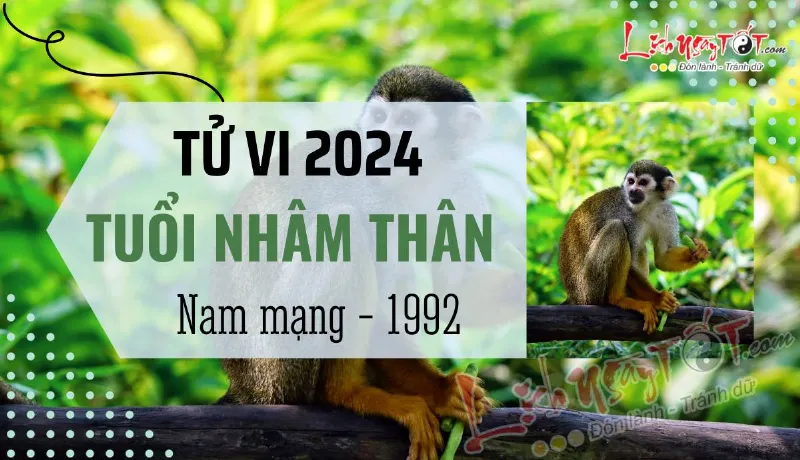 Tử vi 2024 tuổi Nhâm Thân nam mạng 1992