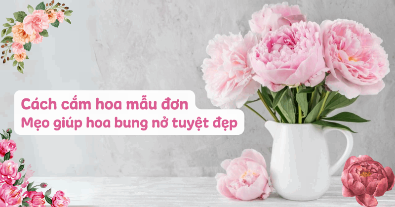 Một người phụ nữ nhẹ nhàng cắt tỉa cành hoa hồng 8/3 để cắm vào bình nước sạch, thể hiện cách chăm sóc hoa tươi lâu