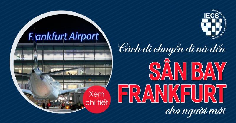 Hình ảnh minh họa một tài xế xe tải đang sử dụng điện thoại để tìm tiệm photocopy gần nhất trên bản đồ, trong cabin xe, có thể thấy một ít giấy tờ liên quan đến vận tải trên bảng điều khiển